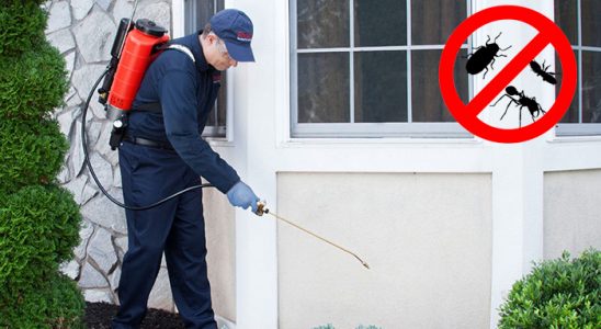Evciler Böcek ve Haşere İlaçlama böcek ilaçlama ve haşere kontrolü — ilaclama-tr.com